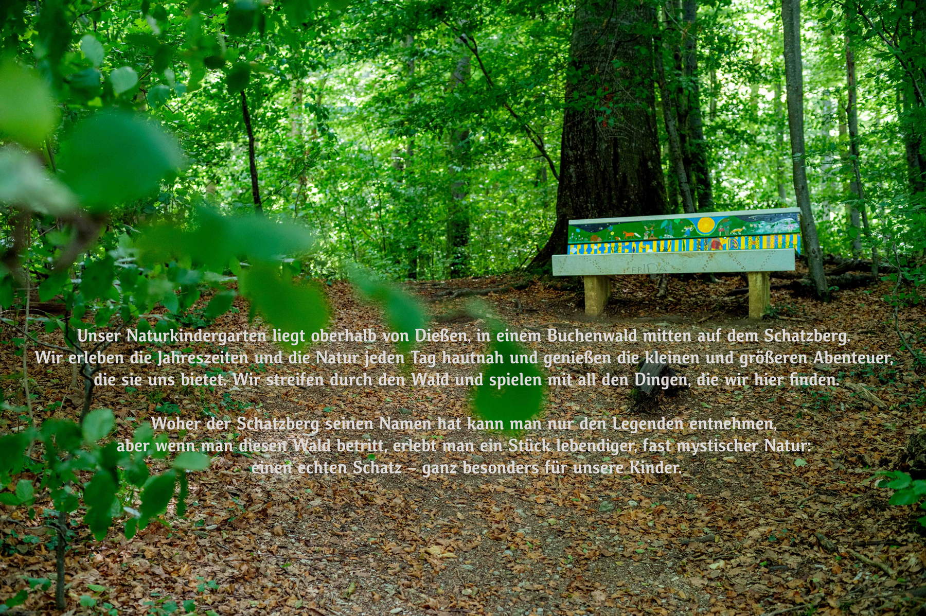 Naturkindergarten Diessen e.V.